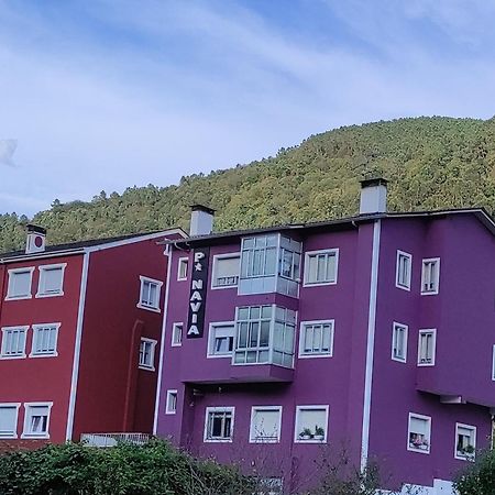 Pension Navia A Pontenova Kültér fotó